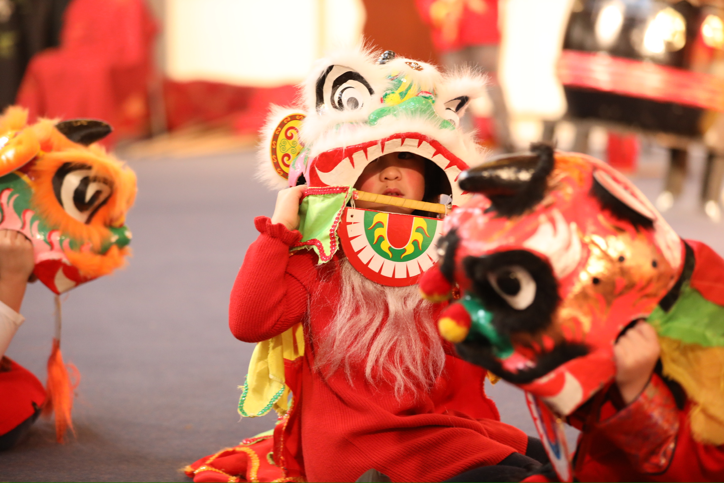 2025 Chinese New Year Celebration